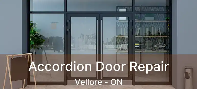  Accordion Door Repair Vellore - ON