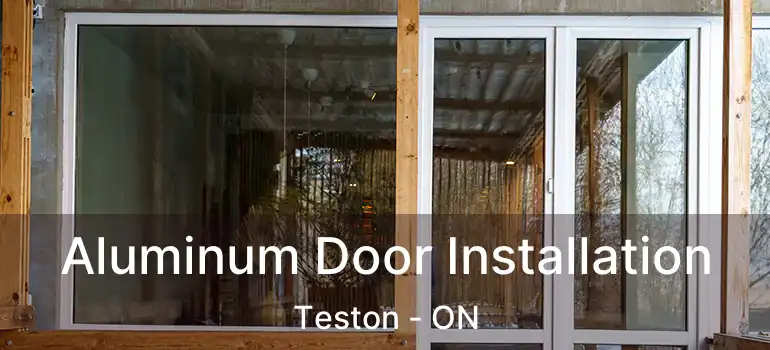 Aluminum Door Installation Teston - ON