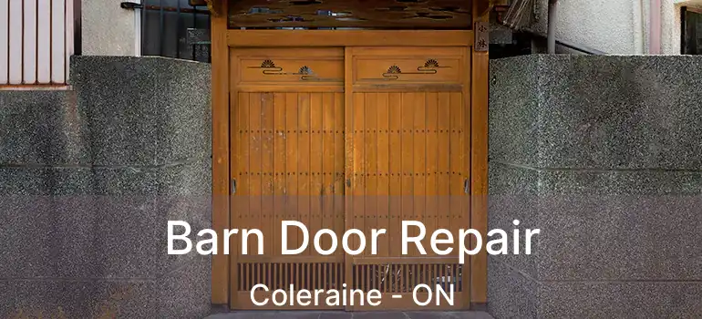 Barn Door Repair Coleraine - ON