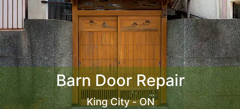  Barn Door Repair King City - ON