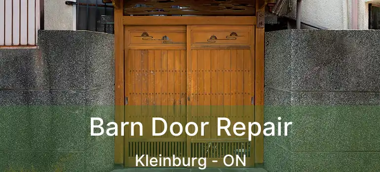Barn Door Repair Kleinburg - ON
