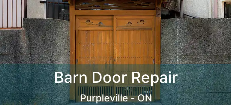  Barn Door Repair Purpleville - ON