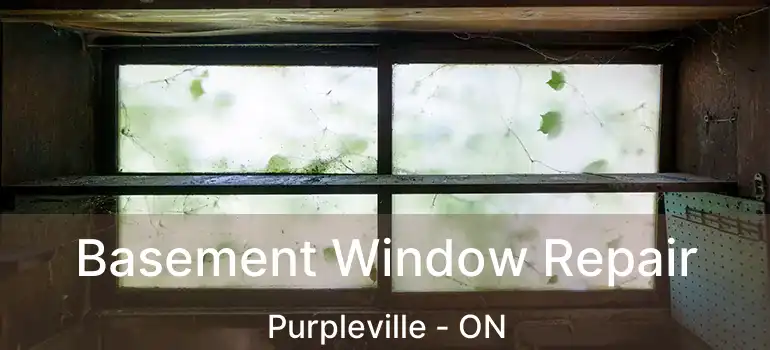 Basement Window Repair Purpleville - ON