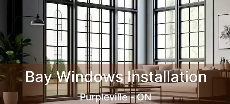  Bay Windows Installation Purpleville - ON