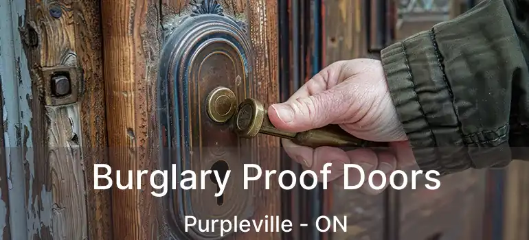 Burglary Proof Doors Purpleville - ON