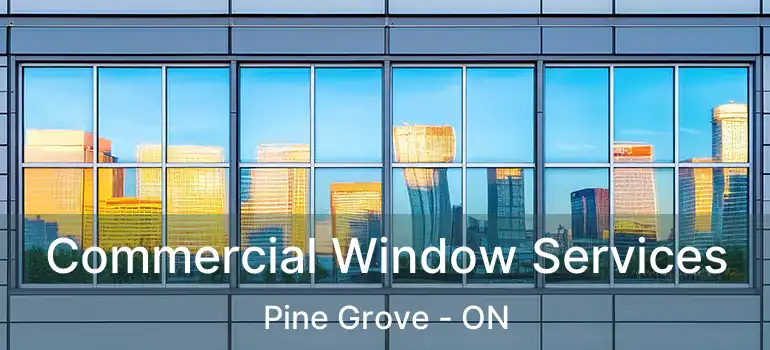 Commercial Window Services Pine Grove - ON