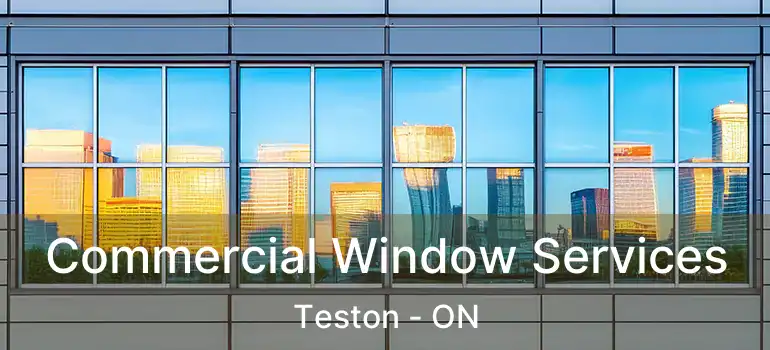  Commercial Window Services Teston - ON