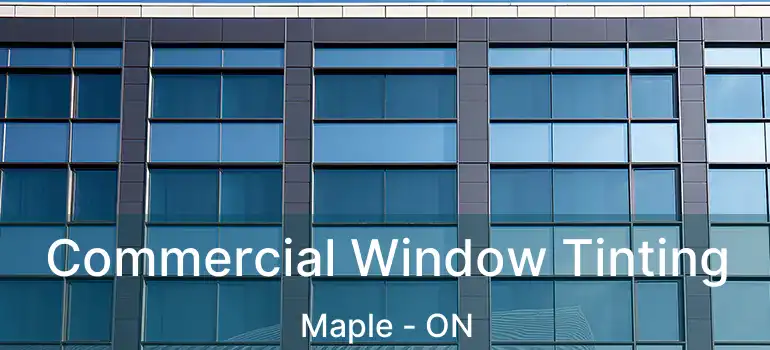  Commercial Window Tinting Maple - ON