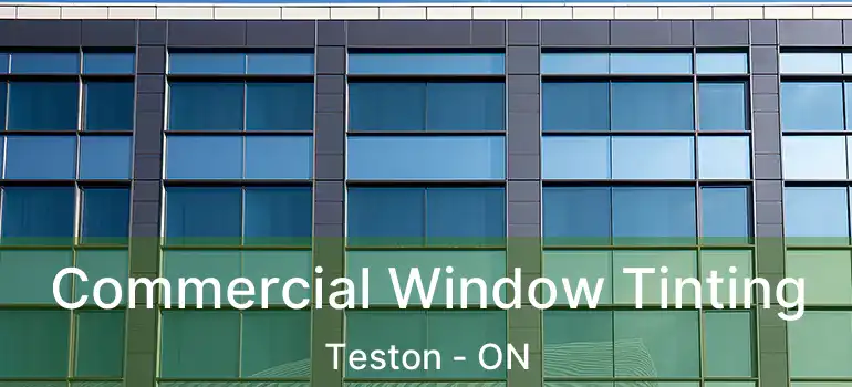  Commercial Window Tinting Teston - ON