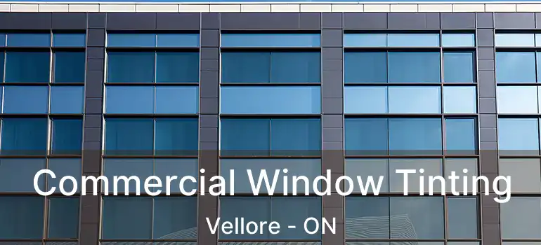  Commercial Window Tinting Vellore - ON