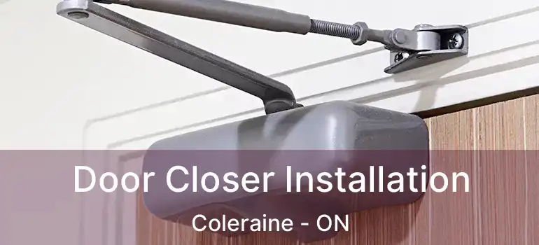  Door Closer Installation Coleraine - ON