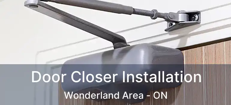  Door Closer Installation Wonderland Area - ON
