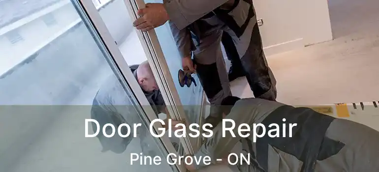  Door Glass Repair Pine Grove - ON
