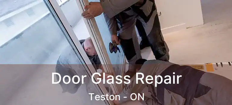 Door Glass Repair Teston - ON