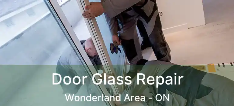 Door Glass Repair Wonderland Area - ON