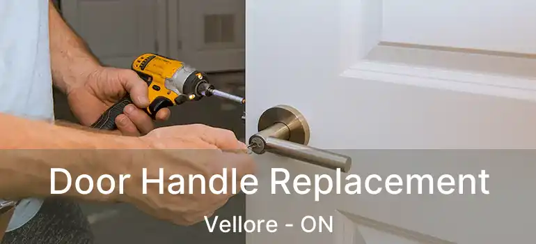  Door Handle Replacement Vellore - ON