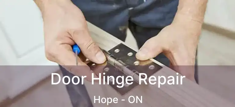  Door Hinge Repair Hope - ON