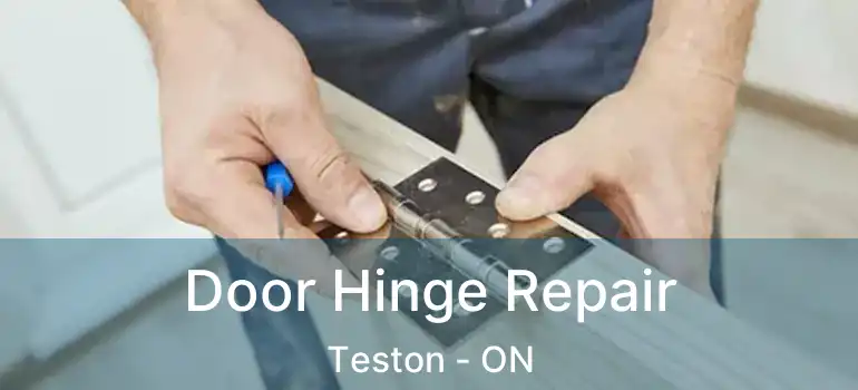 Door Hinge Repair Teston - ON