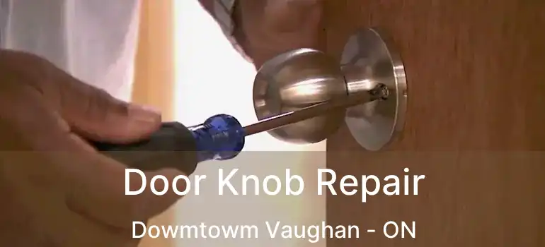  Door Knob Repair Dowmtowm Vaughan - ON