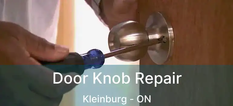  Door Knob Repair Kleinburg - ON