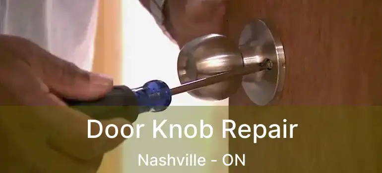  Door Knob Repair Nashville - ON