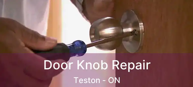  Door Knob Repair Teston - ON