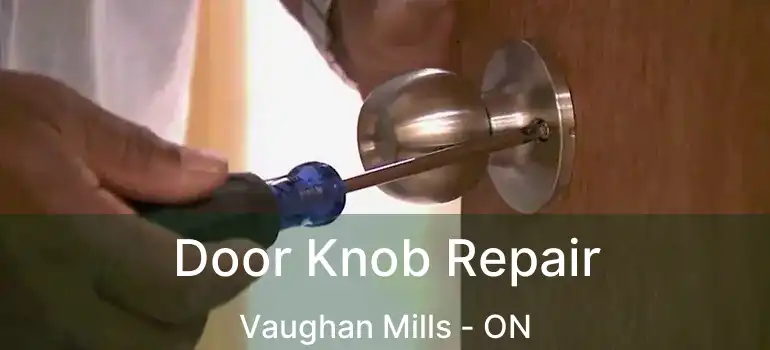  Door Knob Repair Vaughan Mills - ON
