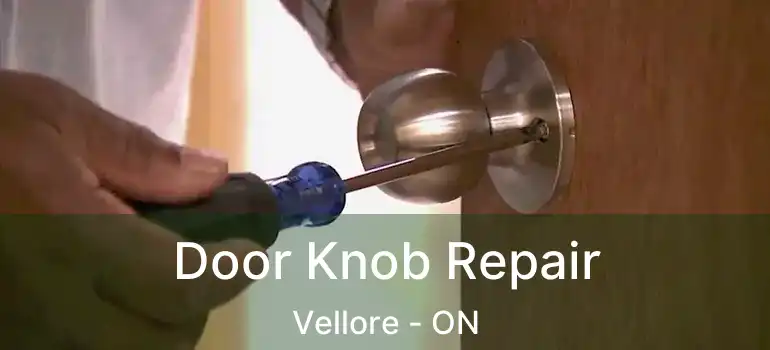  Door Knob Repair Vellore - ON