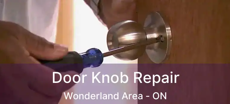 Door Knob Repair Wonderland Area - ON