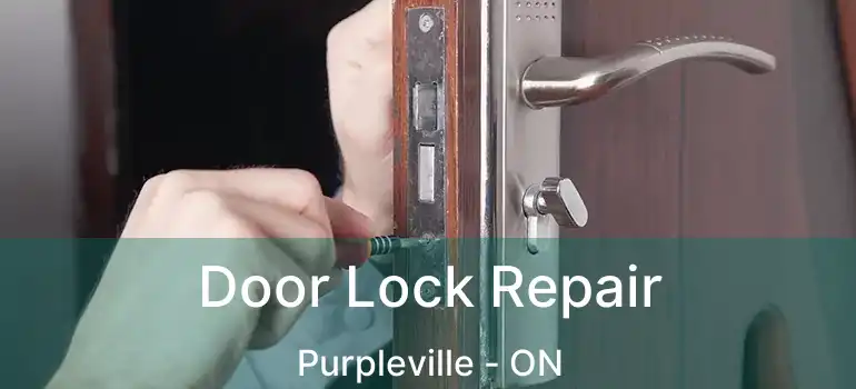  Door Lock Repair Purpleville - ON