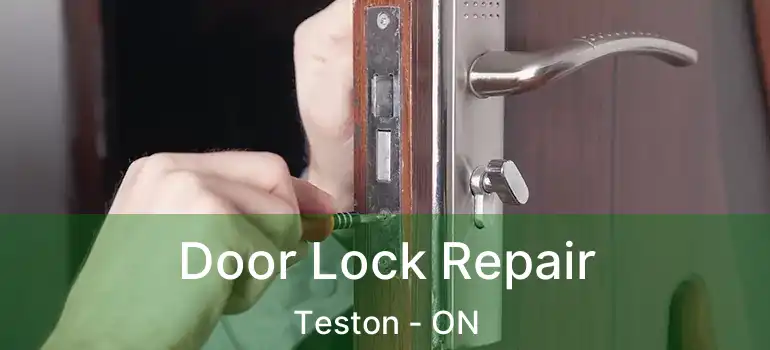  Door Lock Repair Teston - ON
