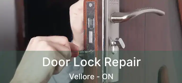  Door Lock Repair Vellore - ON