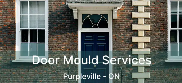 Door Mould Services Purpleville - ON