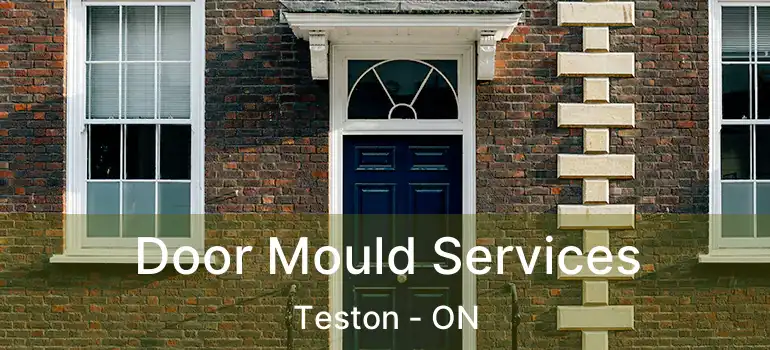 Door Mould Services Teston - ON
