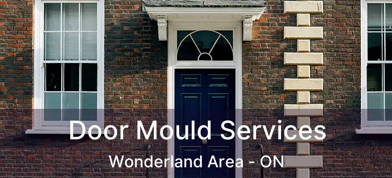  Door Mould Services Wonderland Area - ON