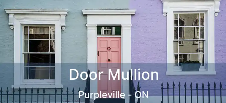  Door Mullion Purpleville - ON