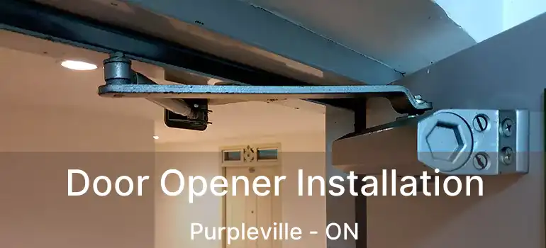  Door Opener Installation Purpleville - ON