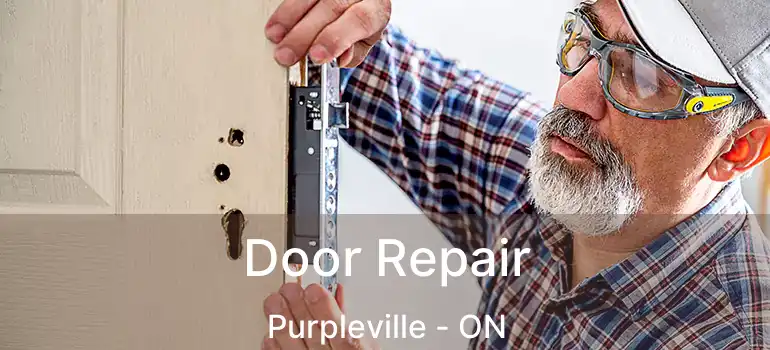  Door Repair Purpleville - ON