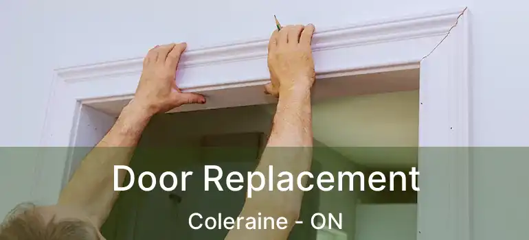  Door Replacement Coleraine - ON