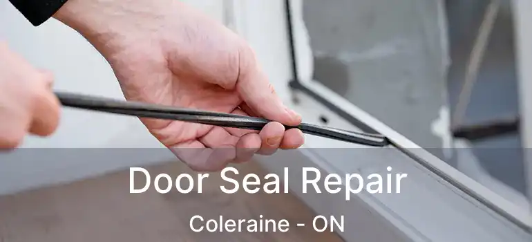  Door Seal Repair Coleraine - ON