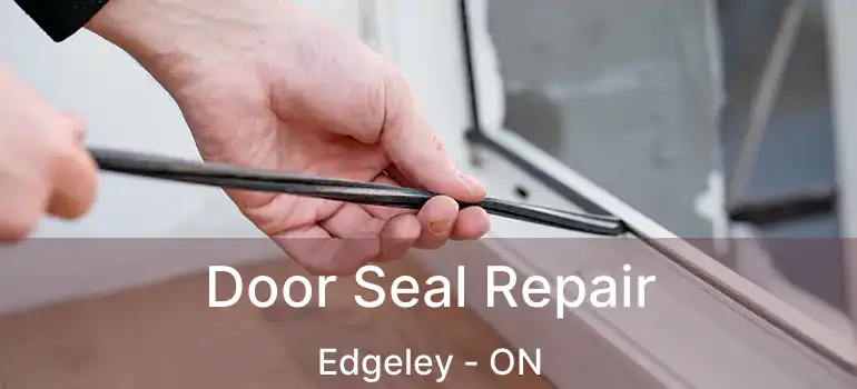 Door Seal Repair Edgeley - ON