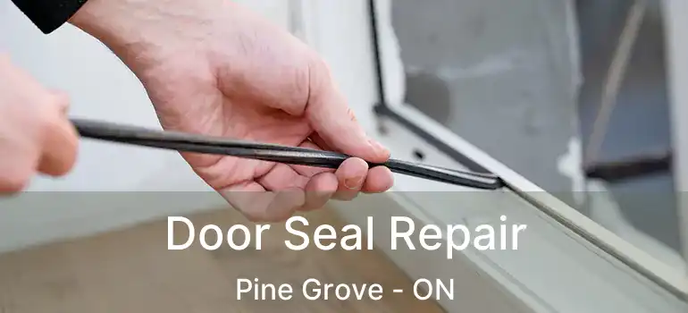 Door Seal Repair Pine Grove - ON