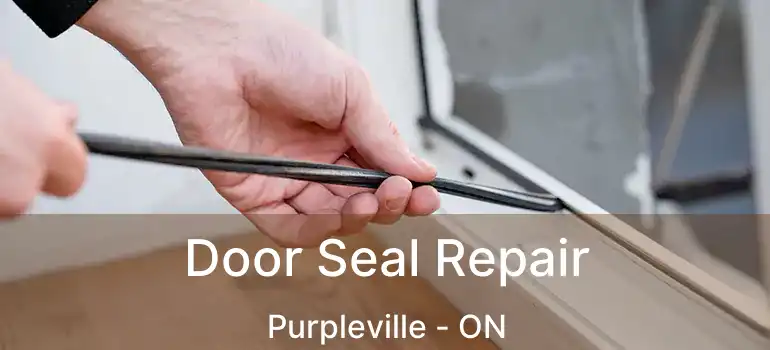 Door Seal Repair Purpleville - ON