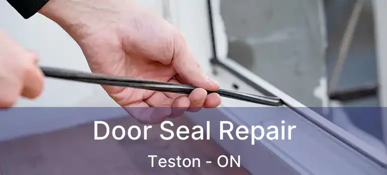 Door Seal Repair Teston - ON