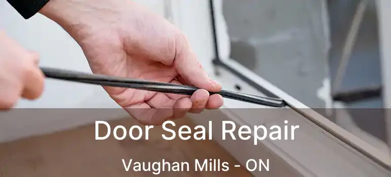  Door Seal Repair Vaughan Mills - ON