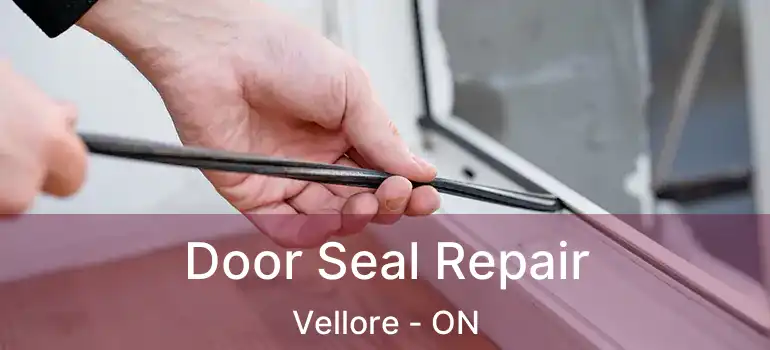 Door Seal Repair Vellore - ON