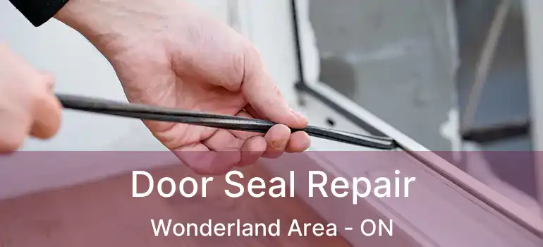 Door Seal Repair Wonderland Area - ON