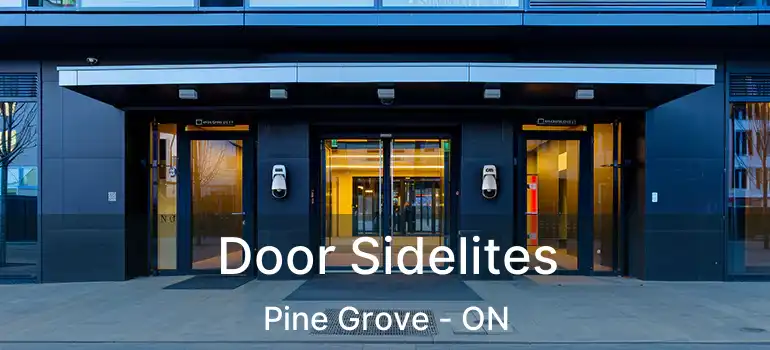 Door Sidelites Pine Grove - ON