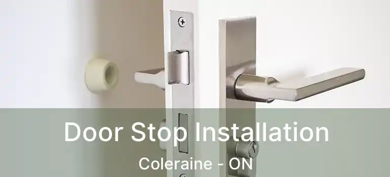  Door Stop Installation Coleraine - ON