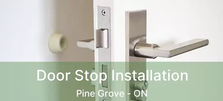 Door Stop Installation Pine Grove - ON
